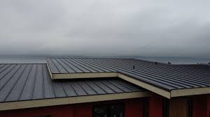 Best Storm Damage Roof Repair  in West Liberty, OH